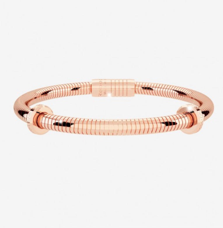 REB My World Charms Bracelet: Curved Snake Chain